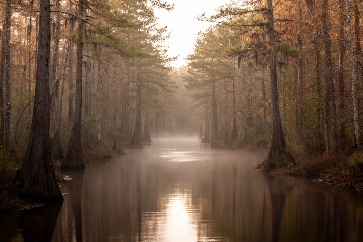 Contentnea Creek near Grifton, North Carolina, where colonial forces besieged the fortified Tuscarora town of Catechna in 1712